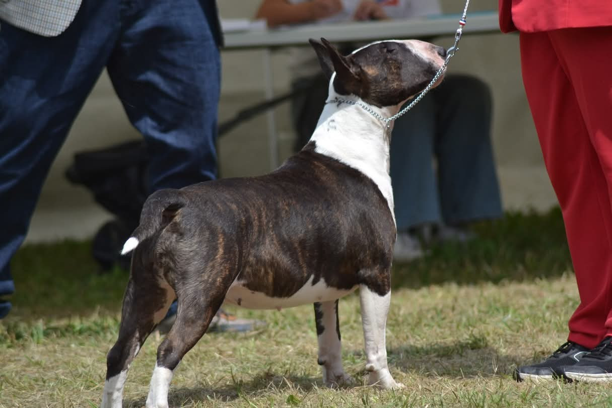 cotation UP THE HILL BACWARDS