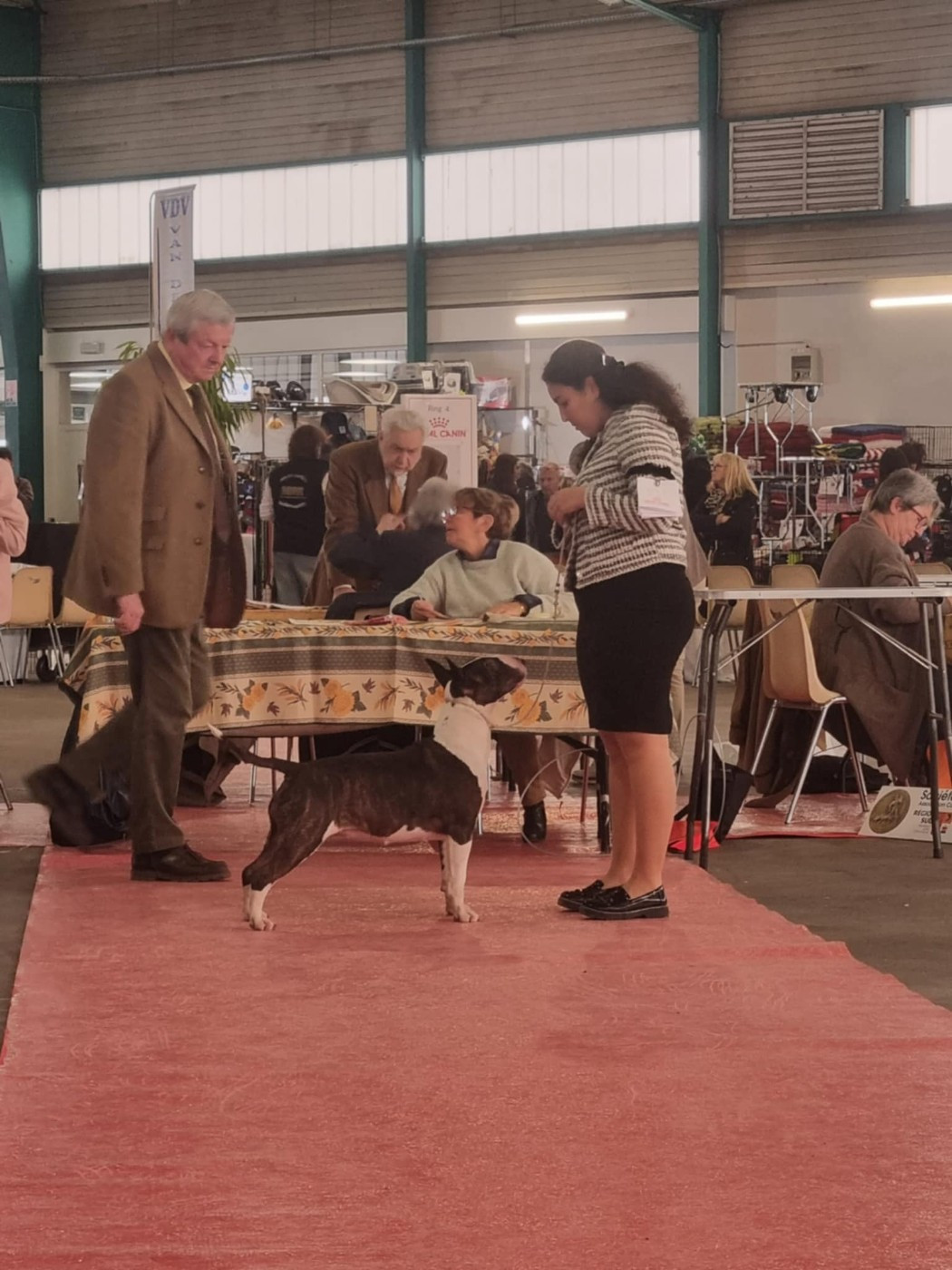 UP THE HILL BACKWARDS DE DARK HOPVAL MAJESTY