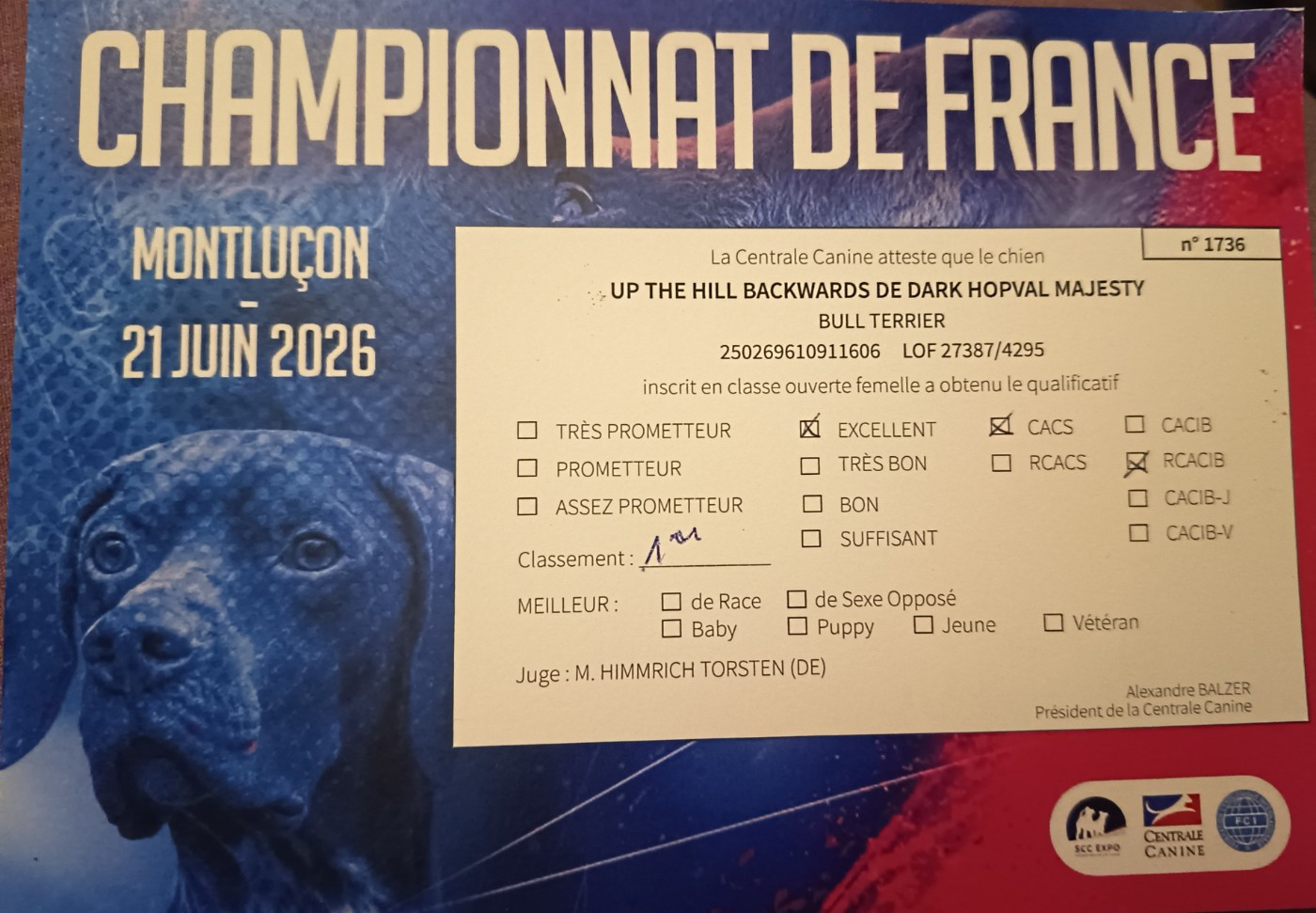 BOWIE 🎊CHAMPIONNE de FRANCE 🎊