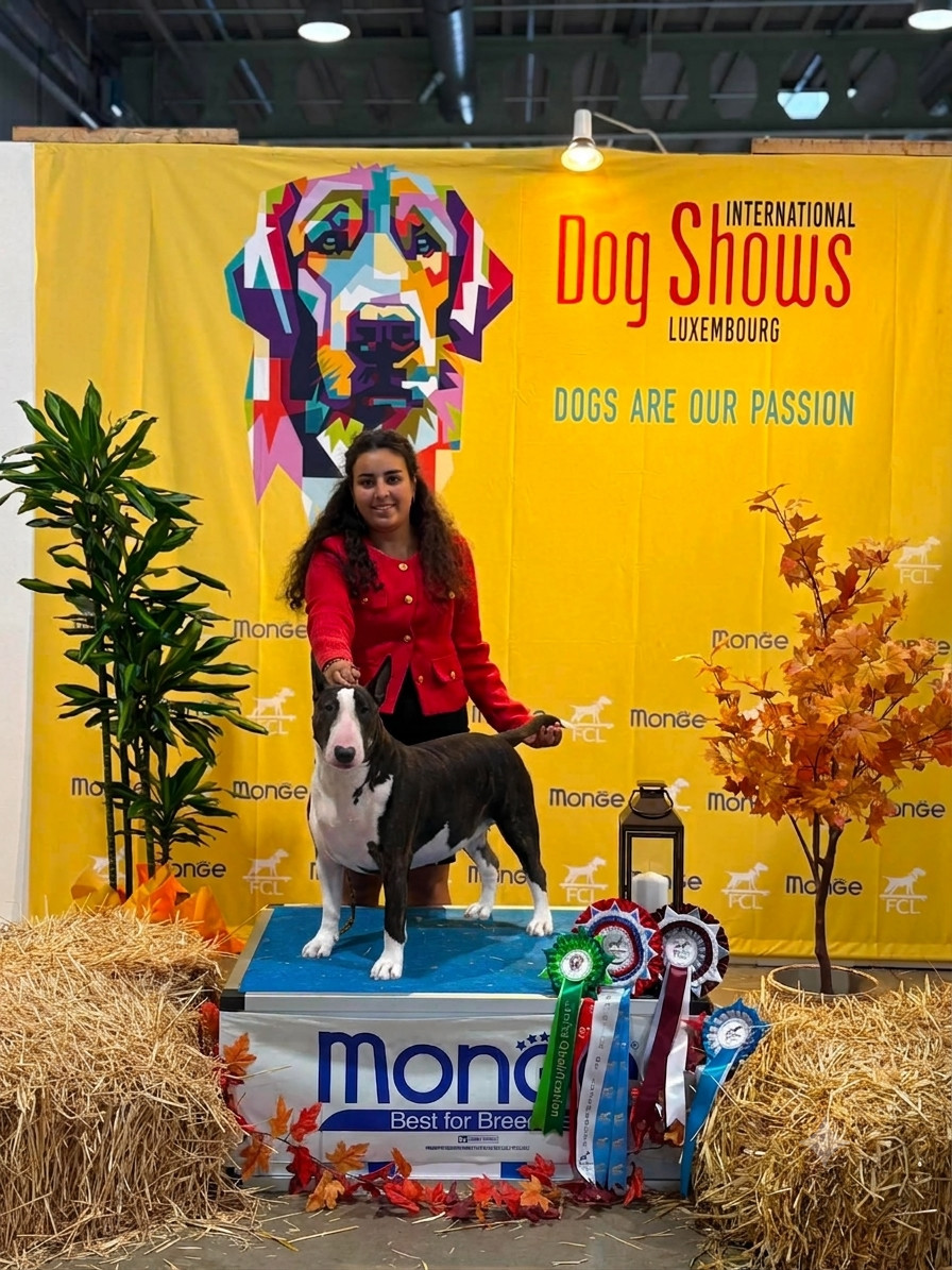 Dark Hopval Majesty - BOWIE 🎊CHAMPIONNE du LUXEMBOURG 🎊